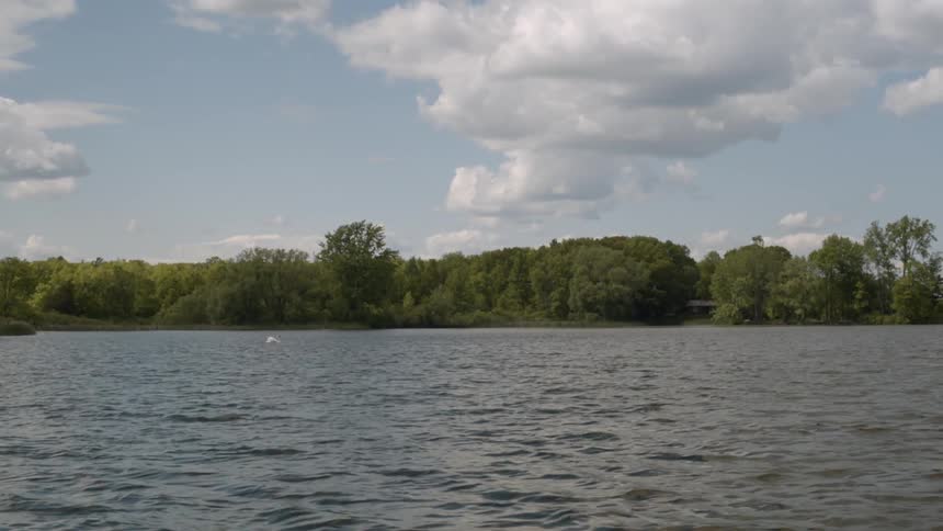 Trees and land seen from the water