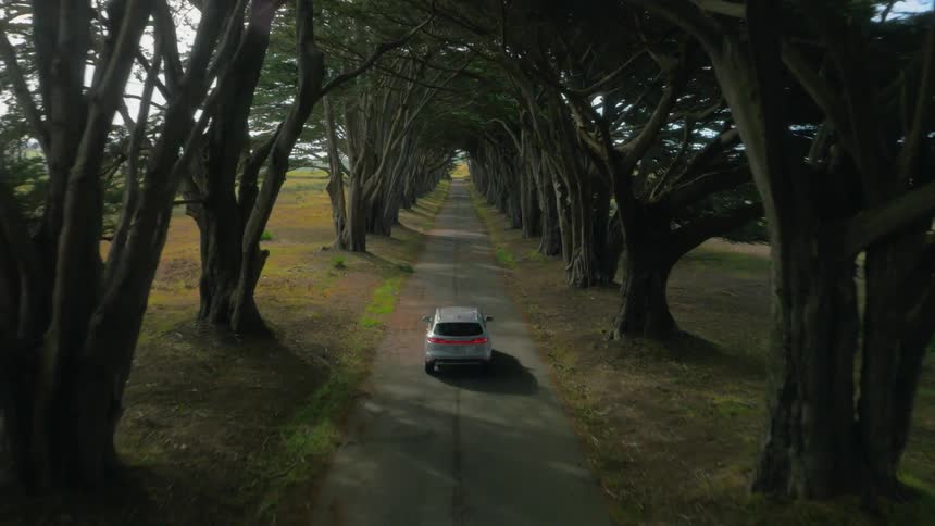 A vehicle travels down a tree lined road