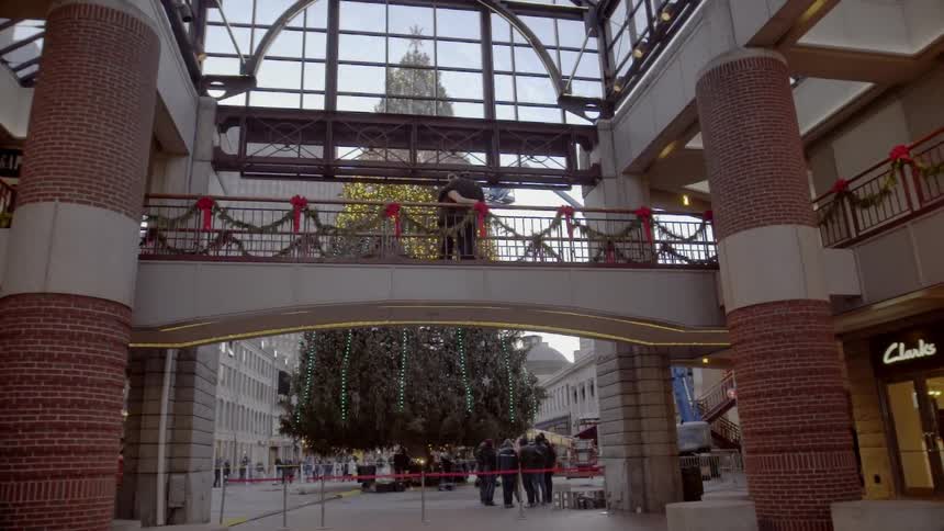 Giant Christmas Tree at a Mall
