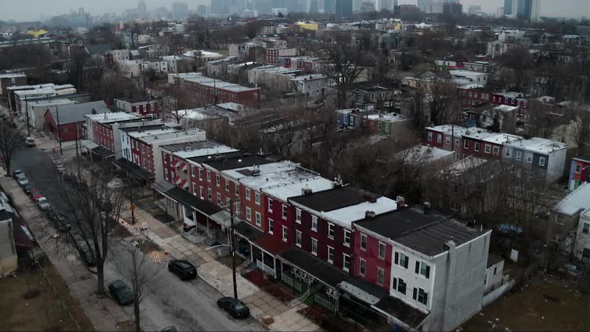 Bare trees tower in between row houses in the city