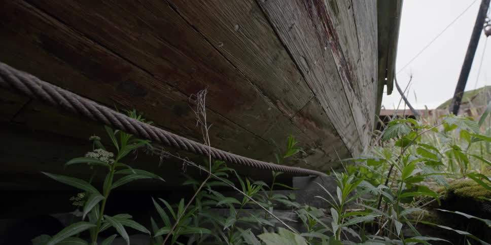 Weeds are growing up around a boat in dry dock in a field