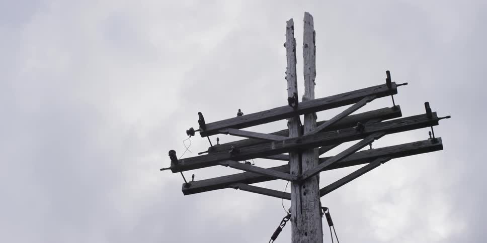 Birds sit on a power pole