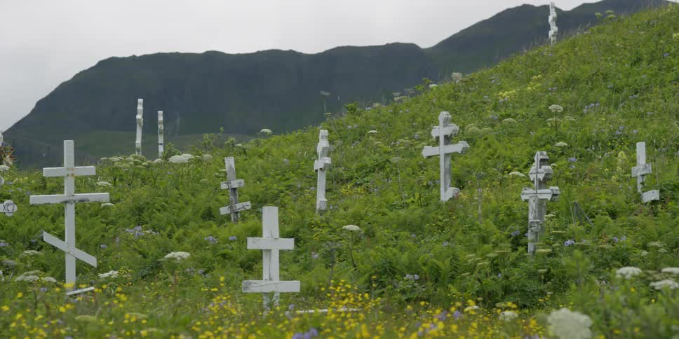 A bunch of crosses on a green hillside