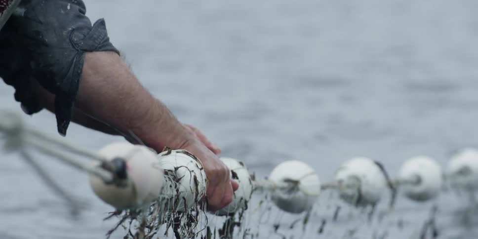 A man leans from a boat to work with a fishing net during the day