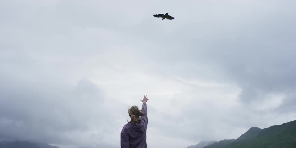 A person stands on a ledge and reaches up to an eagle flying overhead