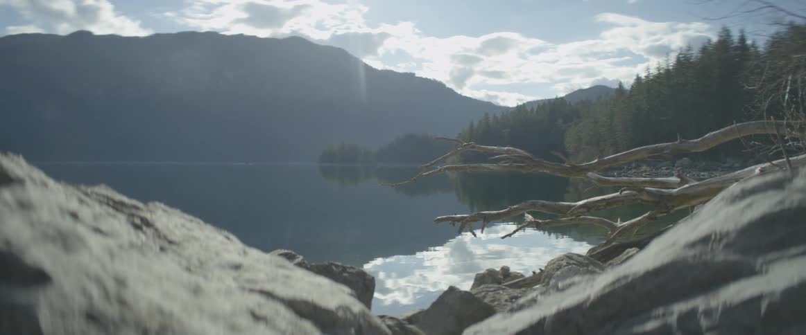 A dead and fallen tree overhangs a mountain lake