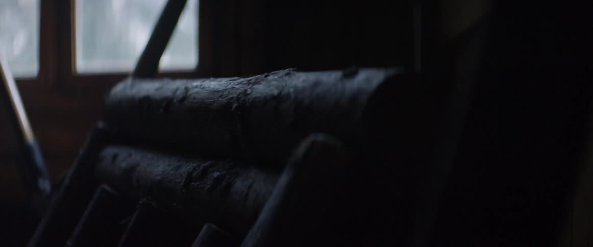 A pile of logs sits inside