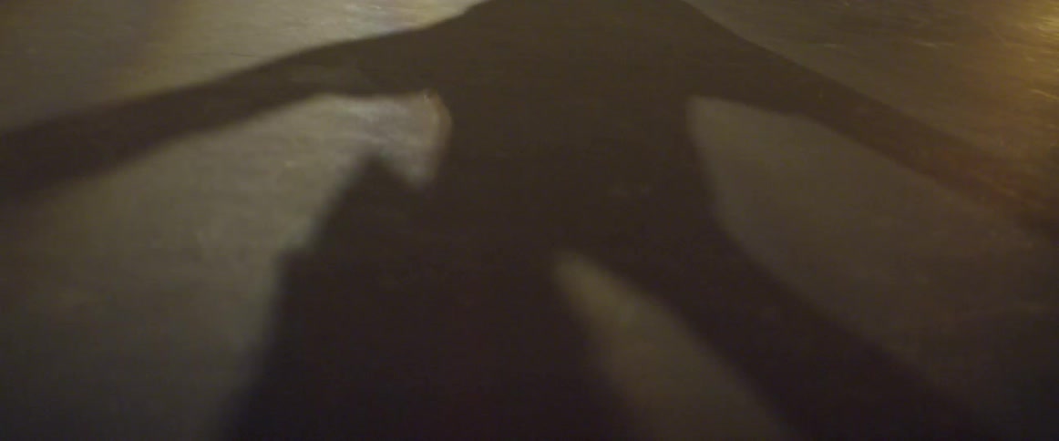 Shadow on the ground of a person dancing
