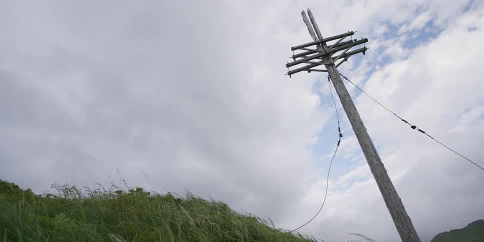 Telephone pole reaches toward a cloudy sky on a windy day