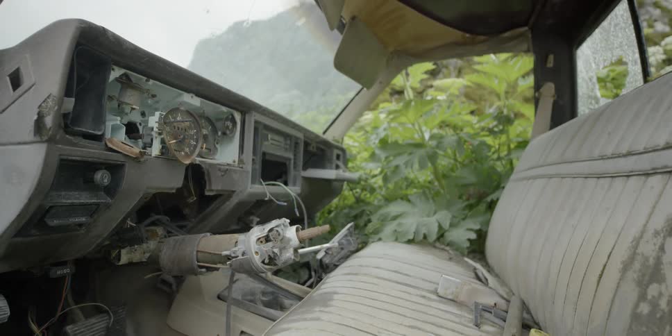 Plants grow through the missing door of an abandoned vehicle