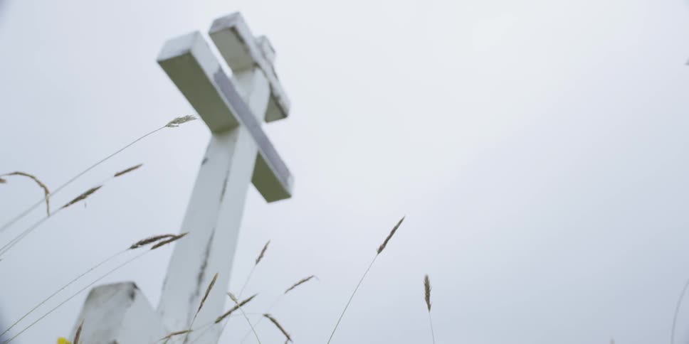 Weeds blow in the wind in front of a cross