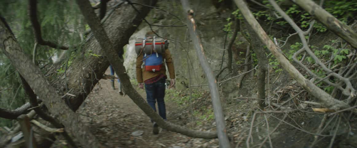 Two people wearing backpacks hike in the woods