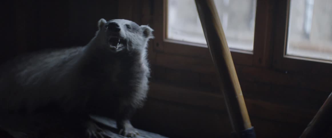 A taxidermy animal in front of a window