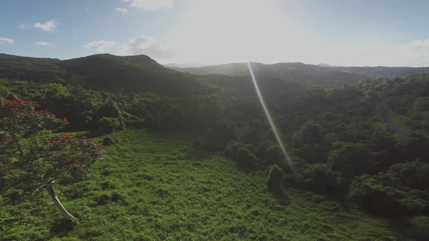 Aerial view of a large green field on a sunny day