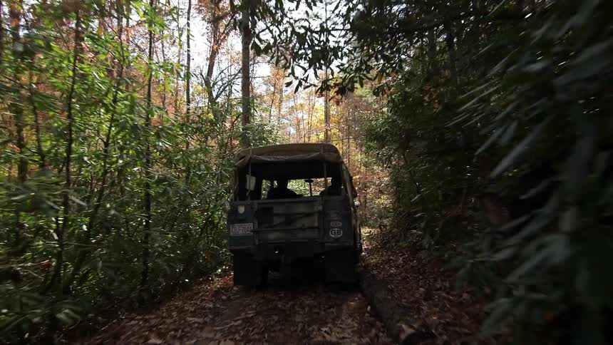 A truck drives through a narrow forest road