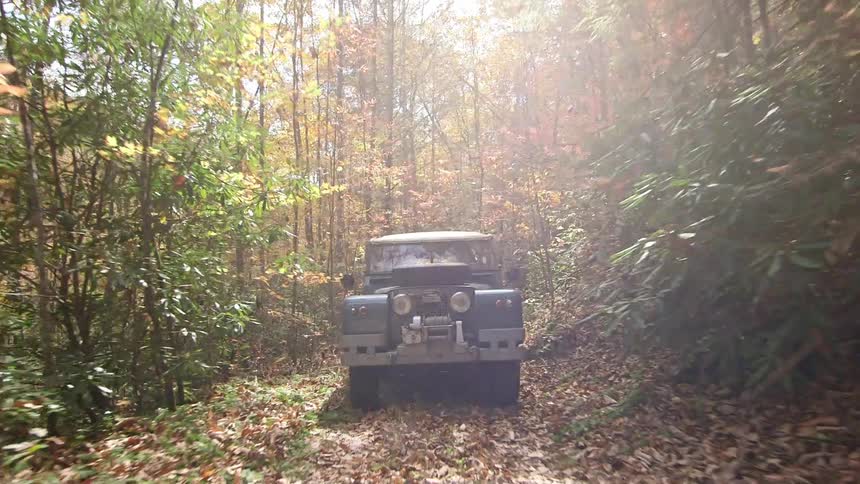 A jeep traveling through a forest trail