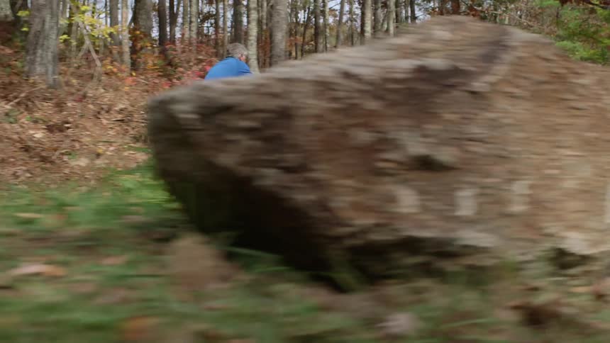 A man is riding a bike down a wooded path