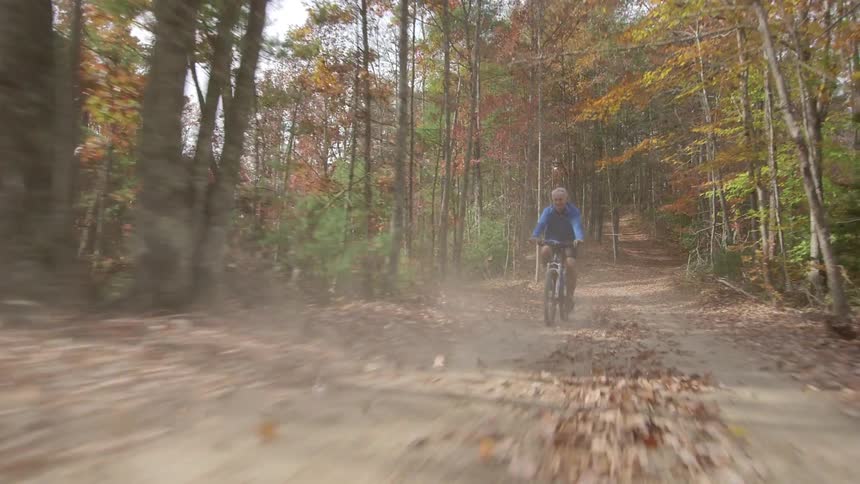 A man bicycles in a forest