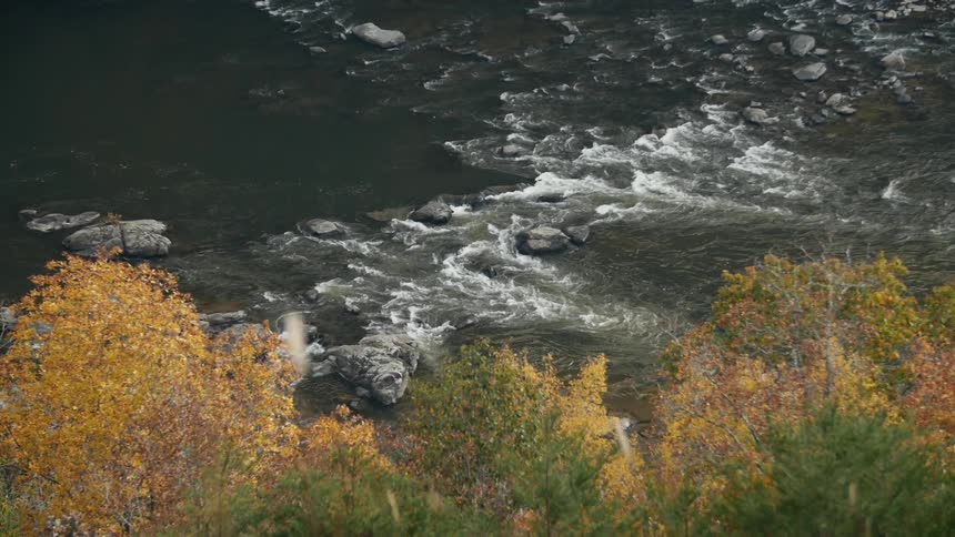 Water flows over rocks near trees