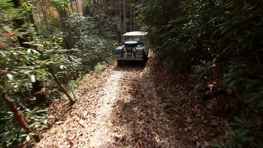 A jeep drives on a leaf covered trail in the forest