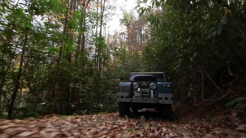 The truck drives fast over the leaves on a sunny day