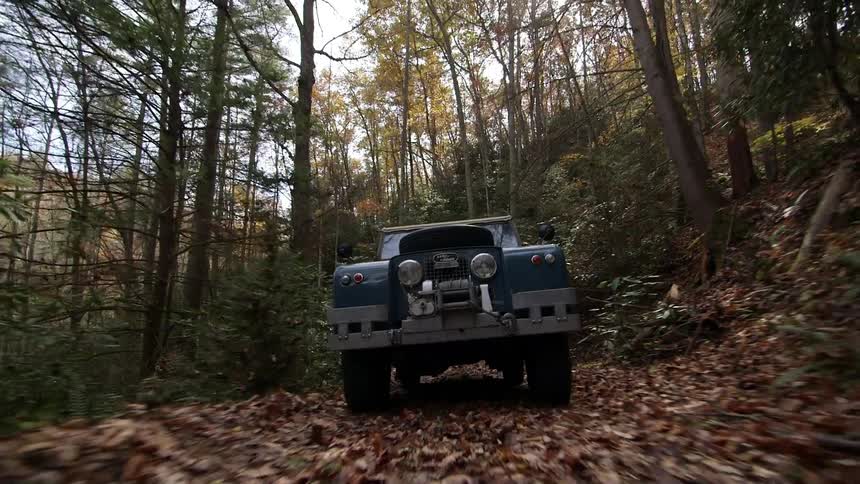 A jeep is making its way through a forest on a road covered in leaves
