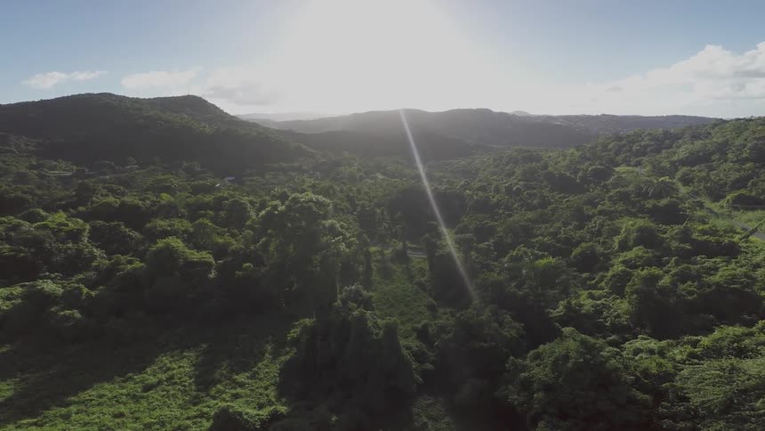 The sun shines on green brush and trees with mountains in the distance