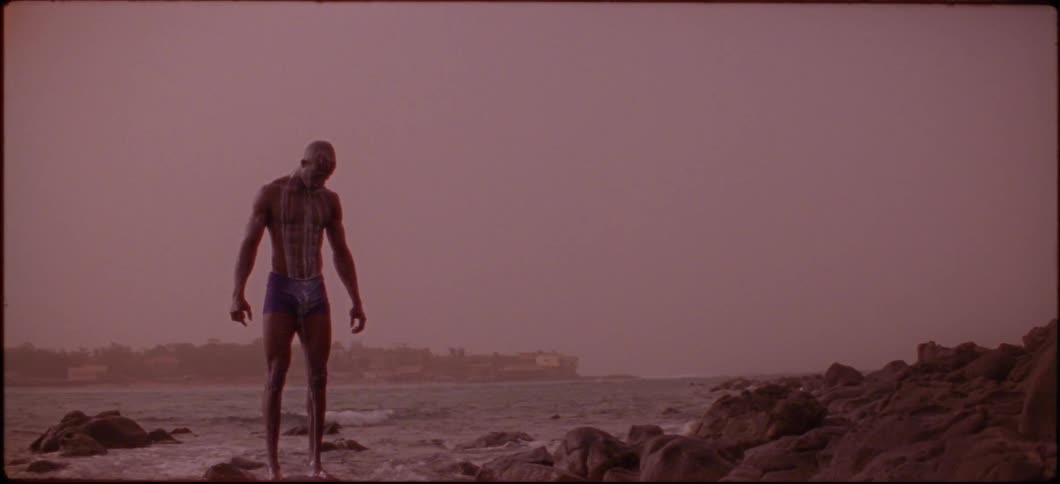 A man is standing on some rocks next to the ocean with white streaks down his body