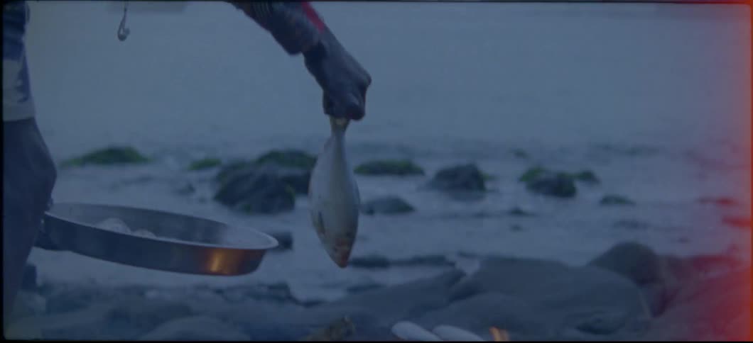 A man places fish from a pan onto a campfire grill on the beach