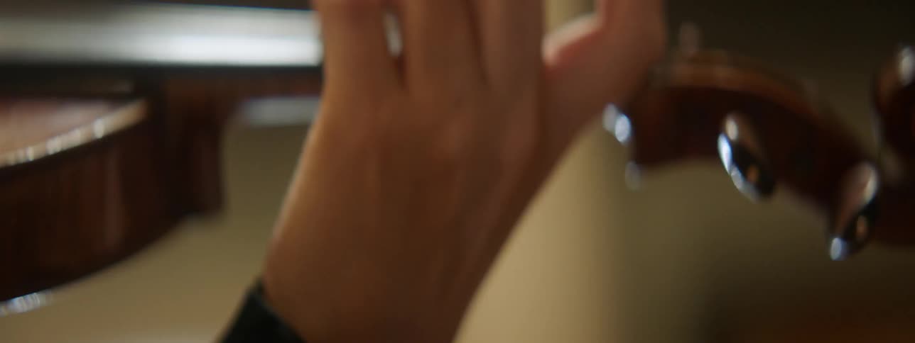 The hand of a person playing the violin