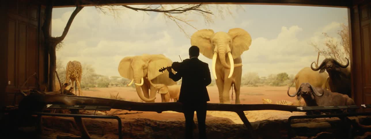 A man plays a violin while looking at a safari animal exhibit