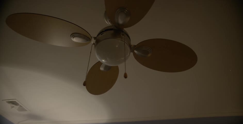 Ceiling fan hangs from a ceiling