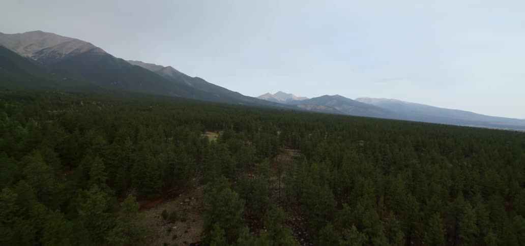 Green trees are scattered around a desert valley