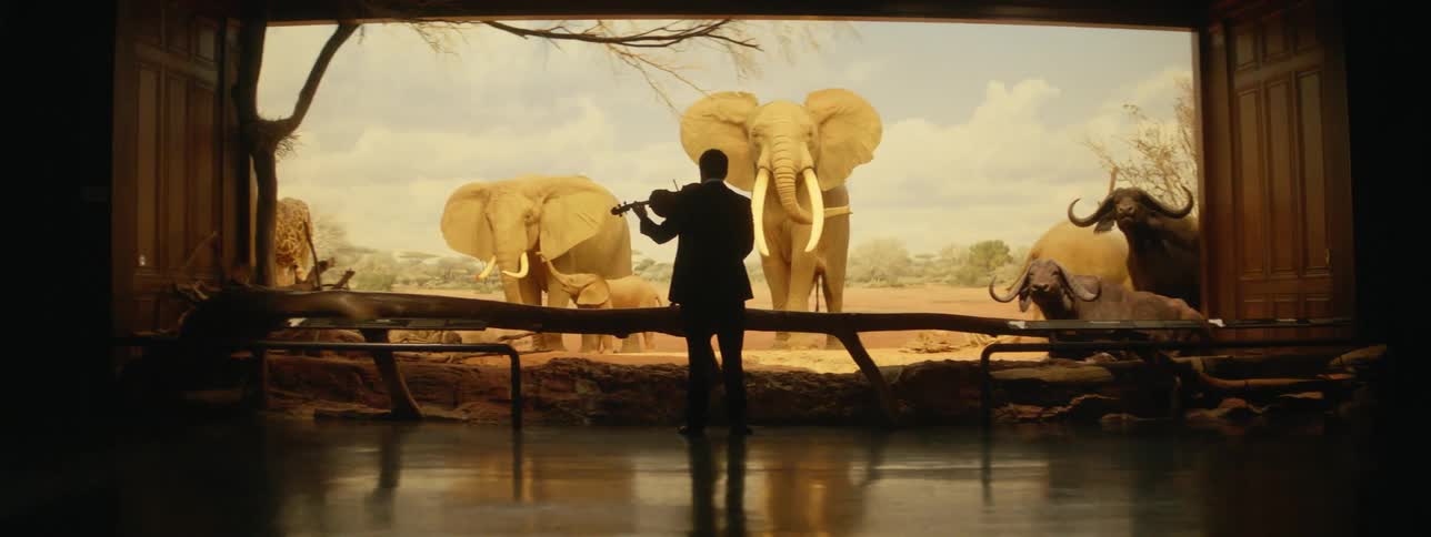 Someone is playing the violin in front of a museum display