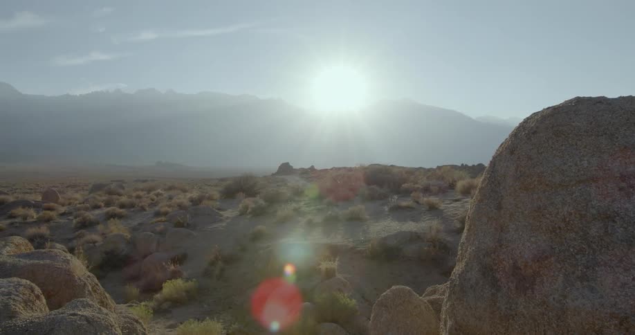 A hot shrubby desert on a sunny day