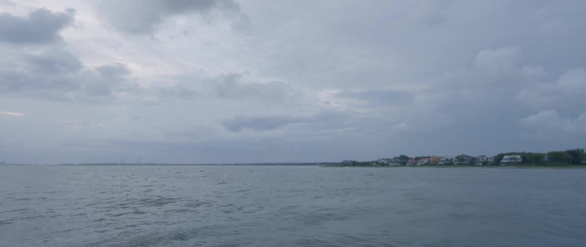 A dolphin is breaching the water in the ocean