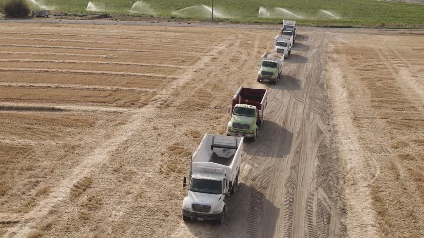 Trucks line up in the dirt on the farm