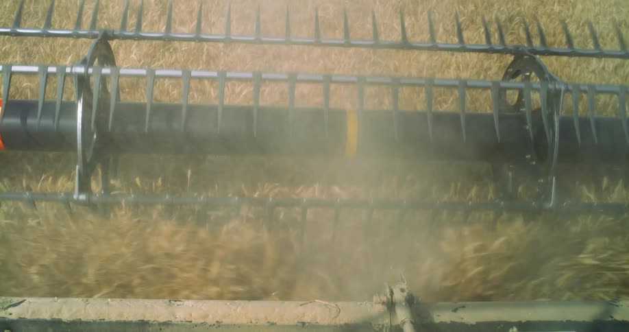A tractor is harvesting a crop
