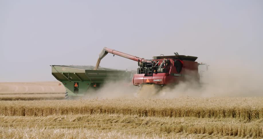 A tractor shoots seed into a large container on the farm