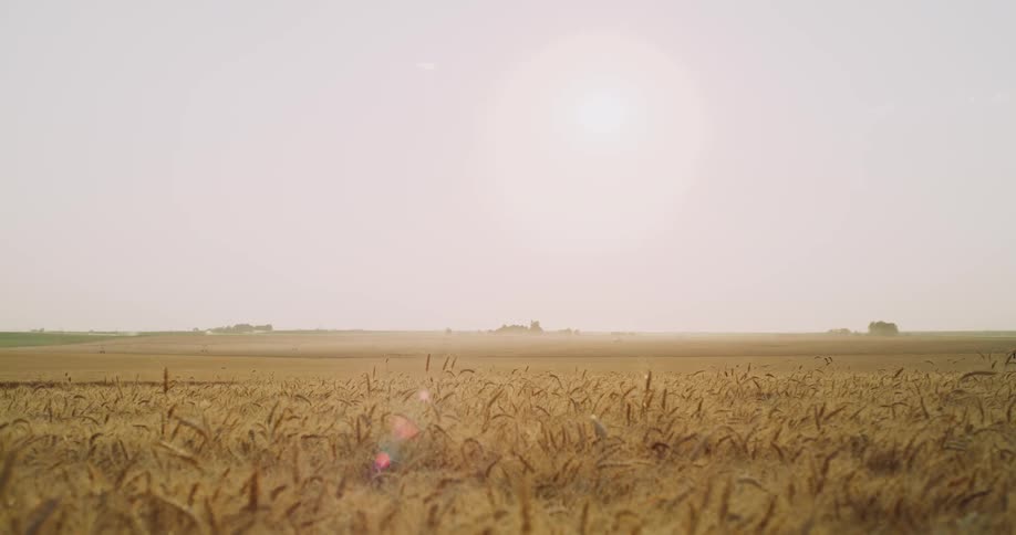 A wide open field on a sunny day