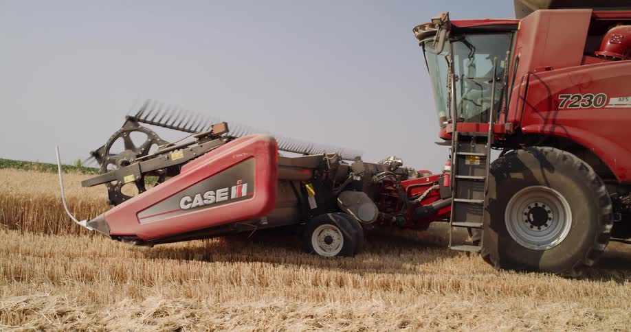 A tractor with a front attachment rolls over wheat in a field