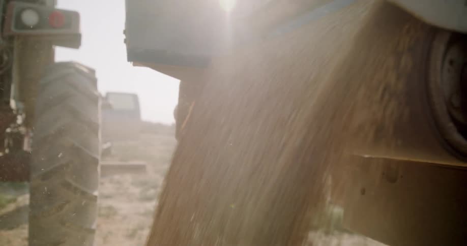 A conveyor belt shoots seed from a truck onto the dirt on a farm