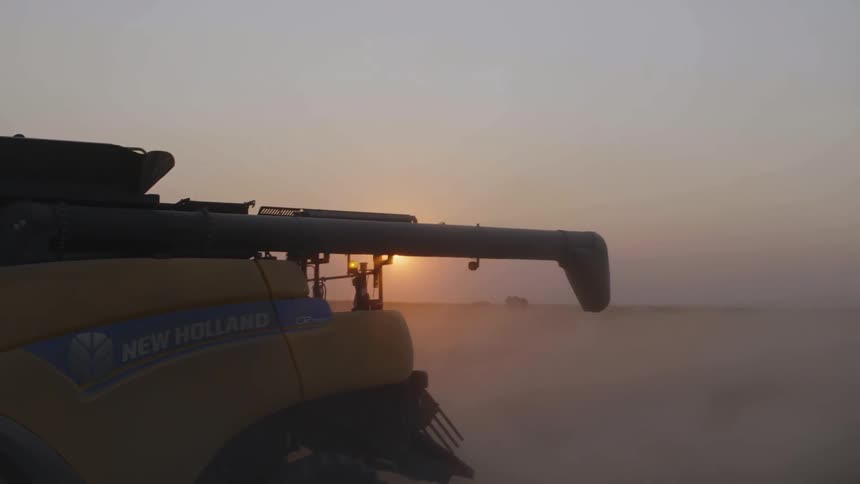 A large harvester is cutting wheat