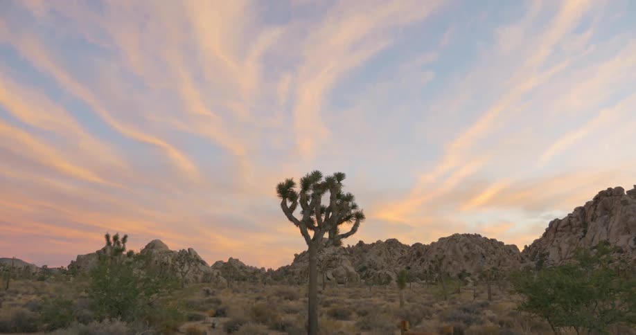 A view of cacti, cliffs and wispy clouds in the sky as the sun sets