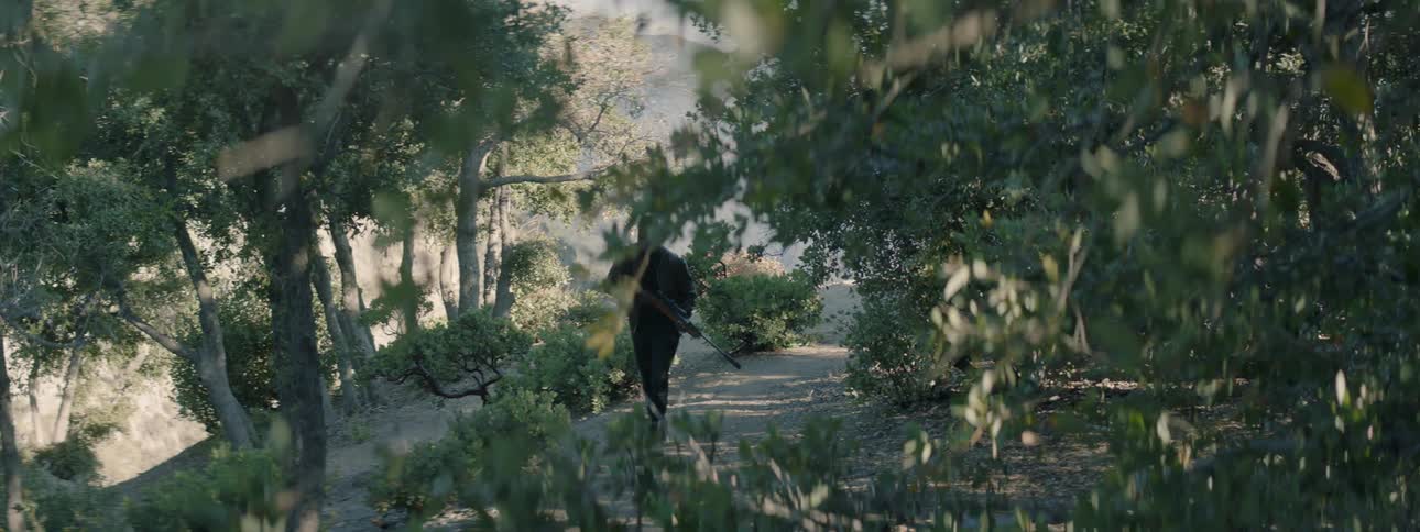 A person is walking through a forest carrying a rifle