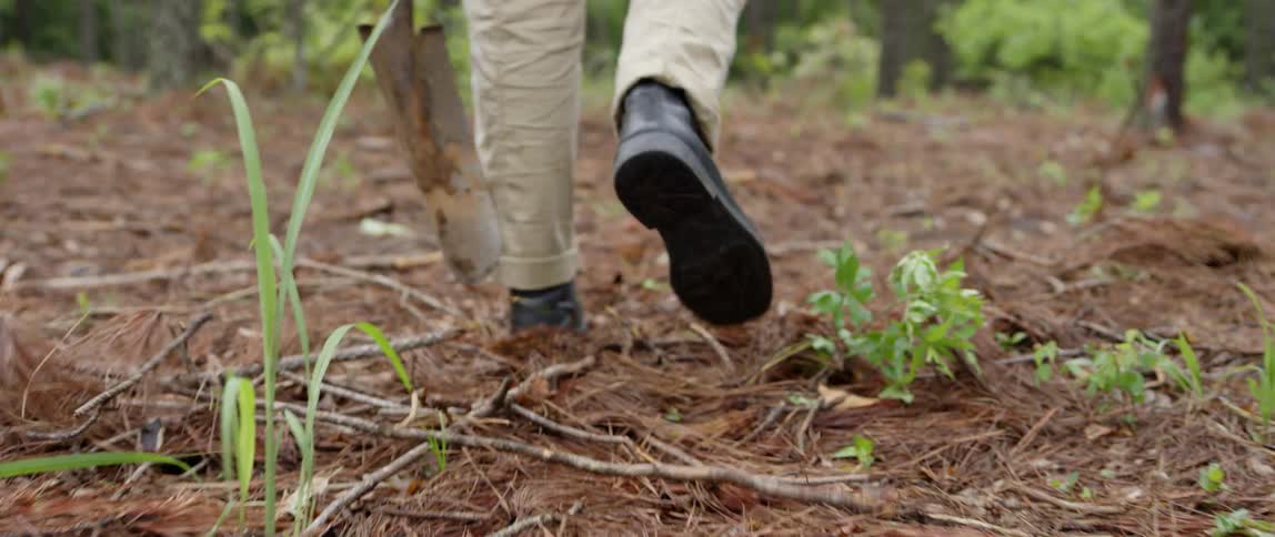 A man walks in a forest with a shovel