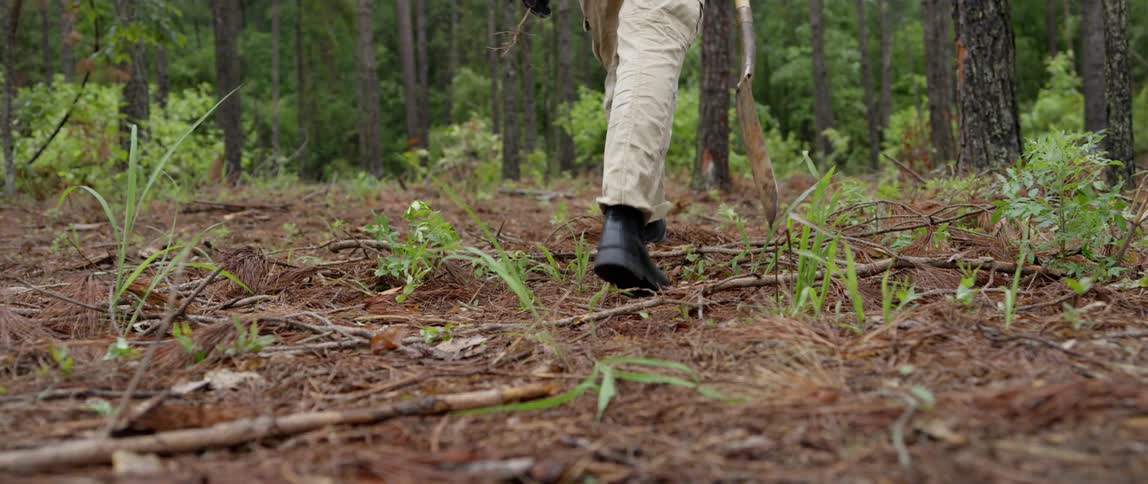 A man is walking through a forest carrying a stick