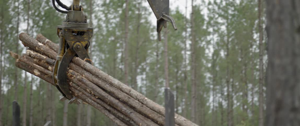 A crane picks up a large stack of logs and places them on the back of a truck