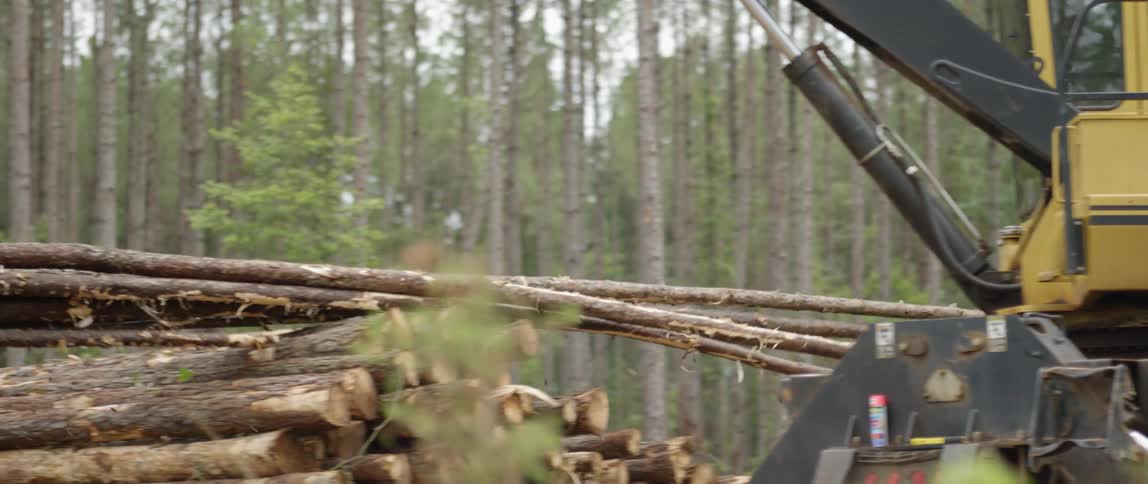 Logging equipment moves and lifts timber in a forest