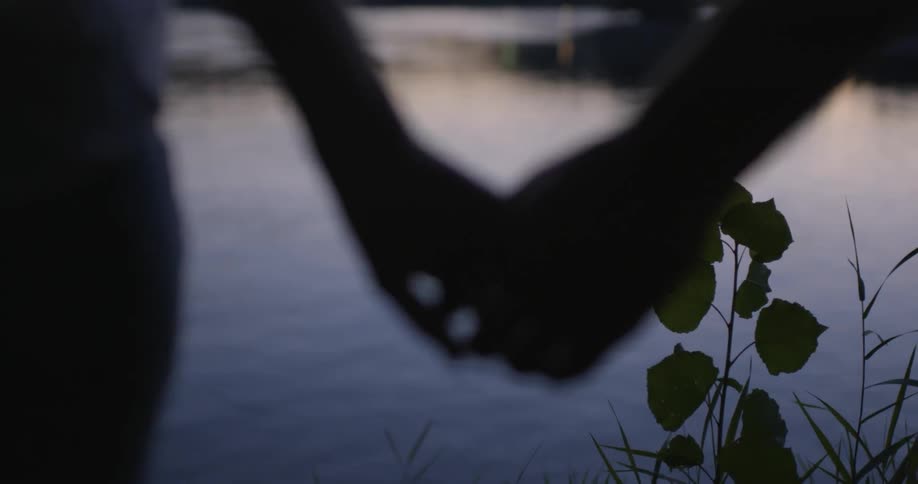 Two people holding hands in front of a lake